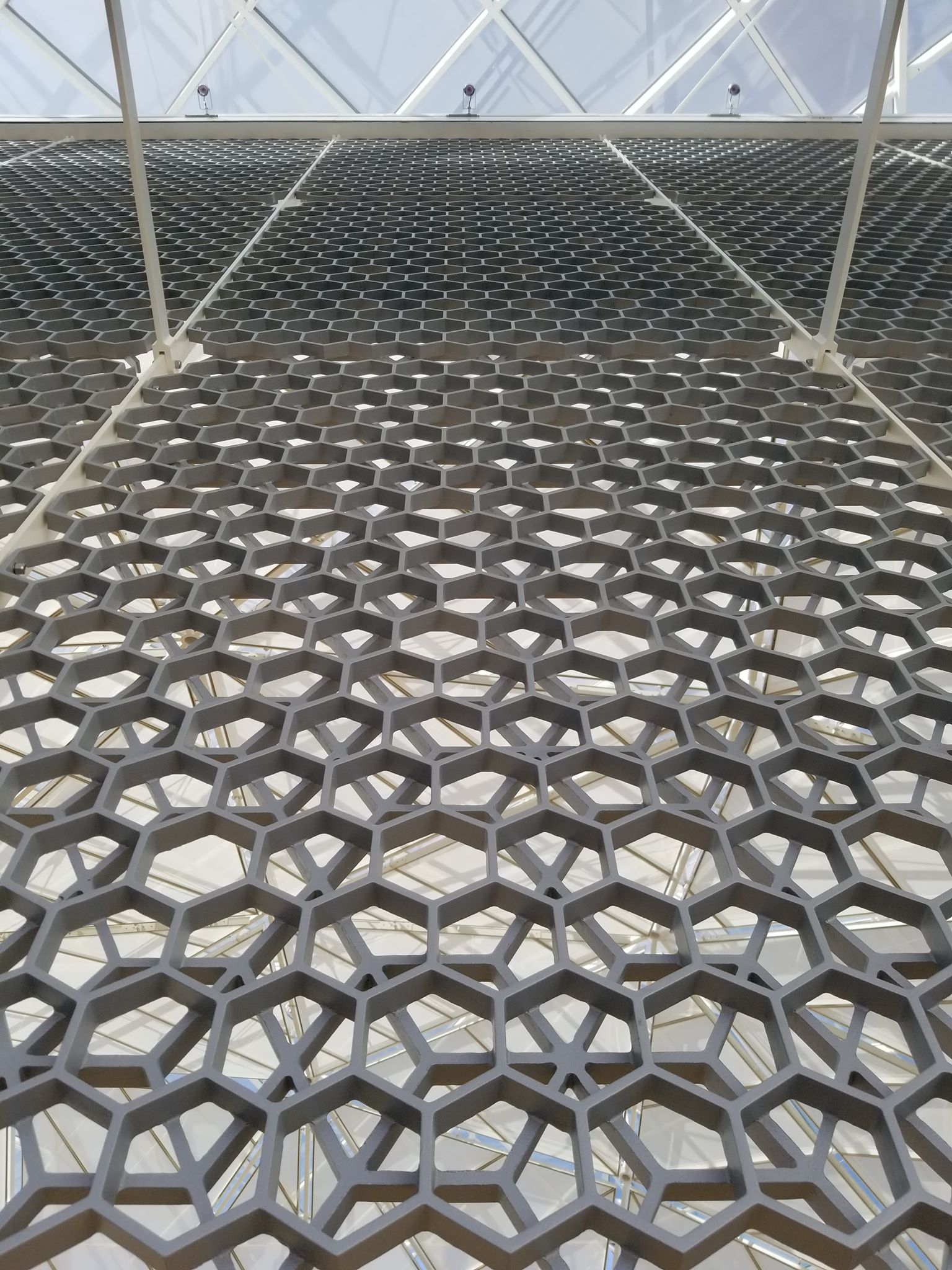 Intricate design of the panels in the atrium